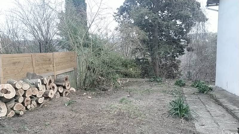 Qui appeler pour abattre et tailler un arbre au meilleur tarif Aussonne en Haute Garonne