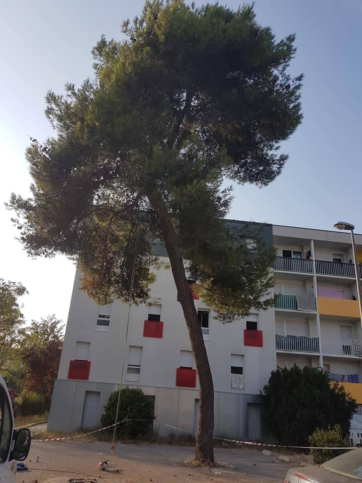 élagueur en urgence toulouse