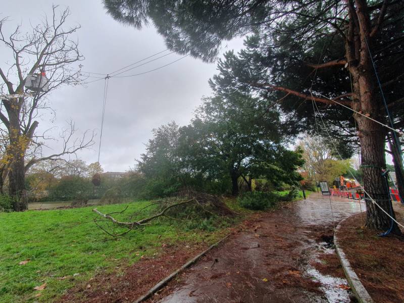 Abattage par démontage d’un peuplier mort dans un environnement contraignant à Toulouse en Haute Garonne