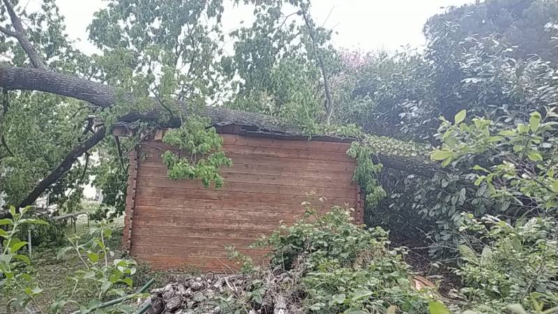 retirer un arbre qui est tombé sur une maison proche Toulouse