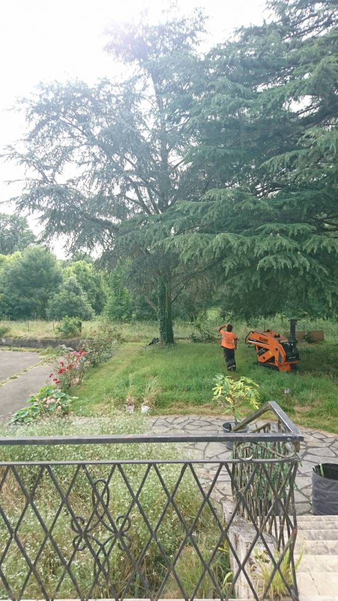 Abattage par démontage d’un cèdre malade et d’un noyer mort au sud du département de la Haute Garonne.
