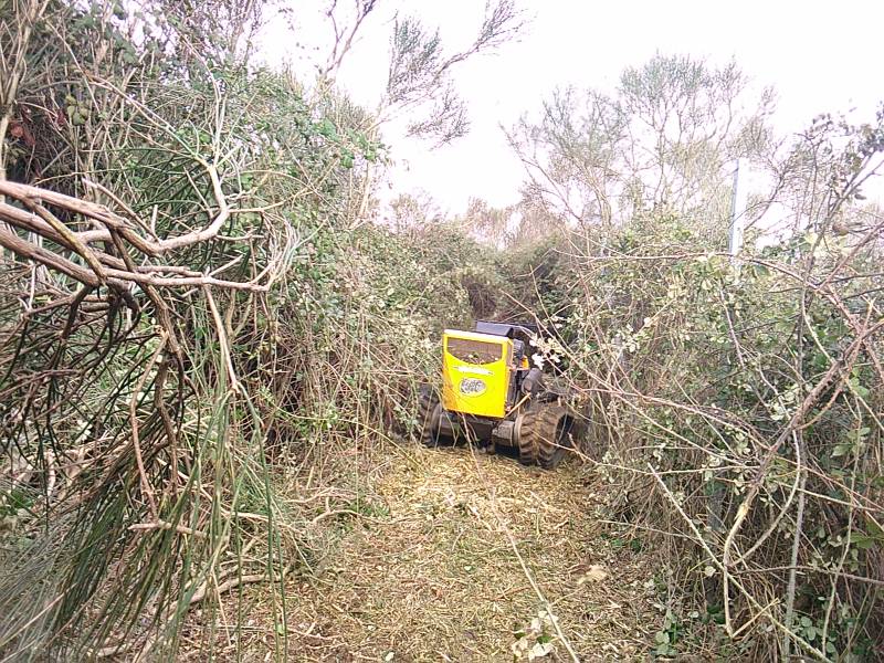 Entretenir un grand terrain en pente proche toulouse