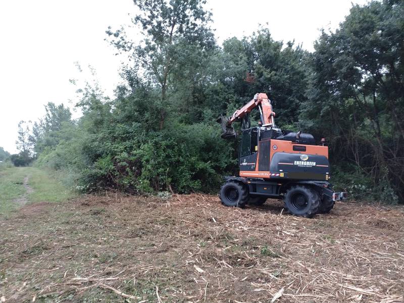 défrichage de sous bois par un élagueur à Léguevin