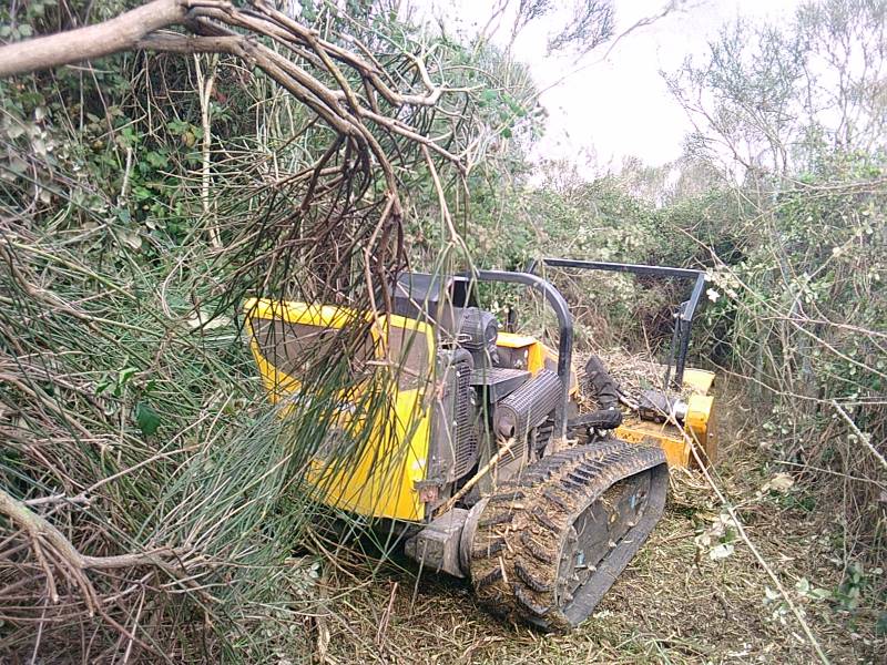 Défricher un terrain viabilisé proche Toulouse