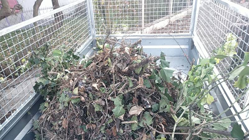 Récupération de déchets verts à Toulouse