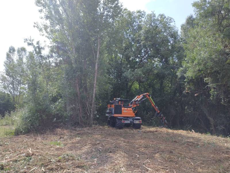 bucheron pour nettoyer un bois léguevin