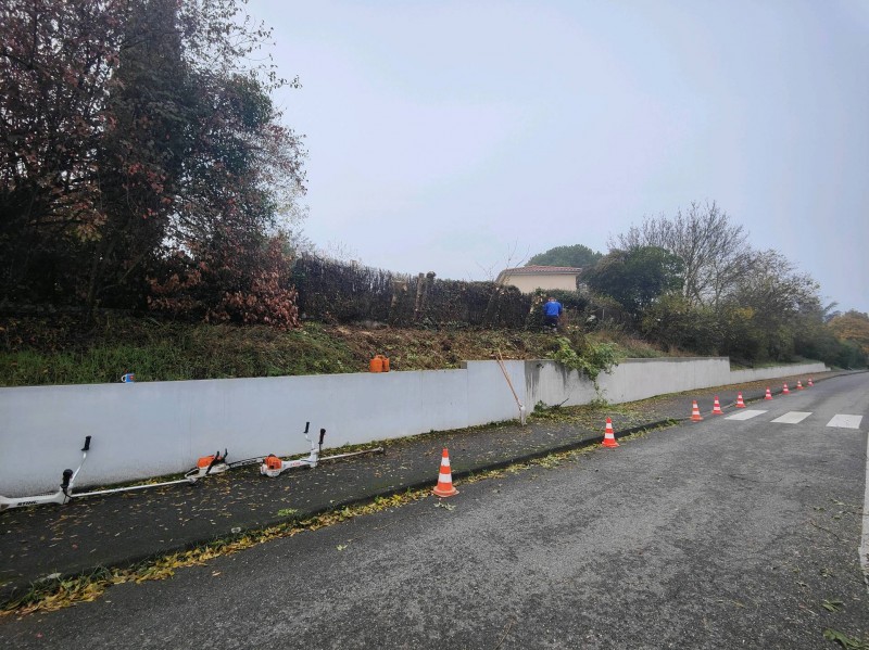 Défrichage de talus à Auzielle 31