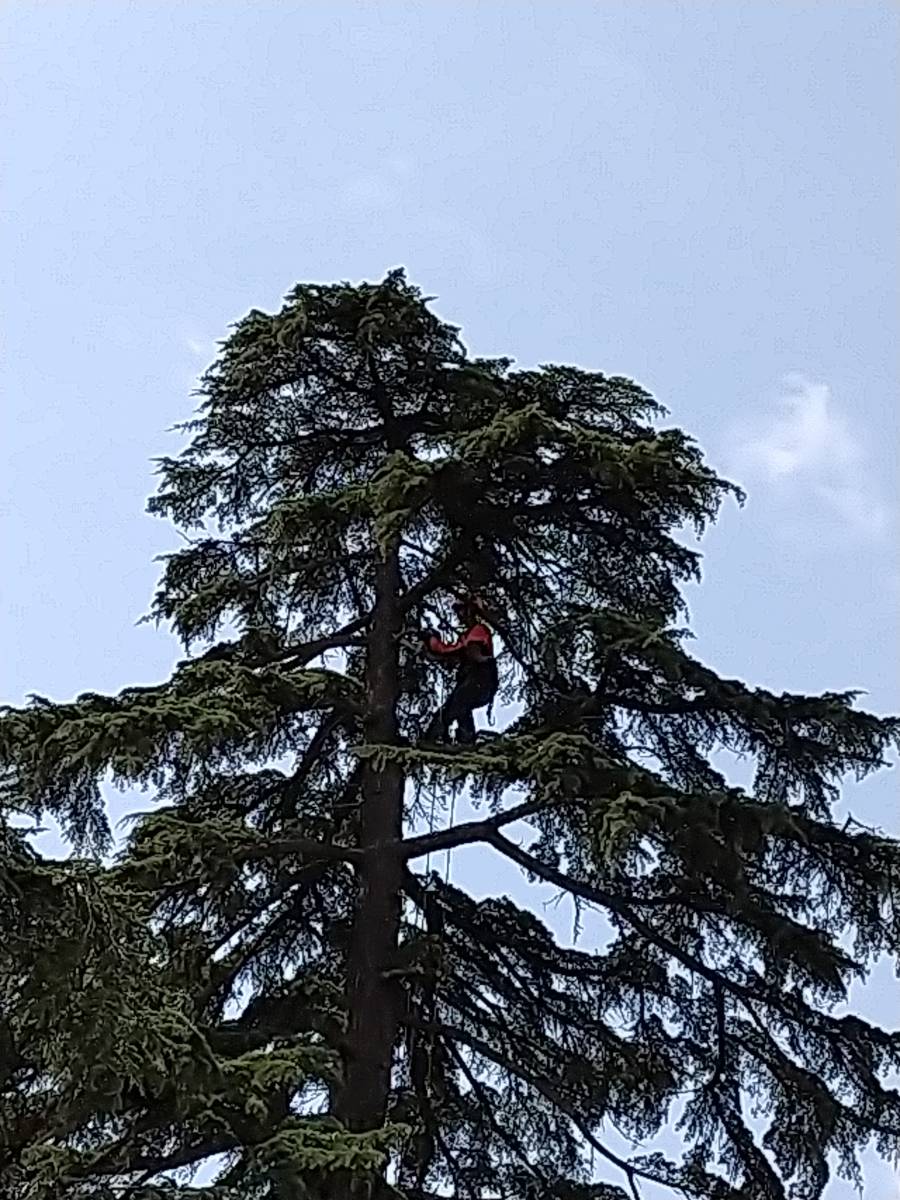 Taille de prévention des risques dans une résidence hotellière de Colomiers