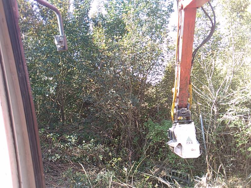 déboiser un terrain constructible proche toulouse