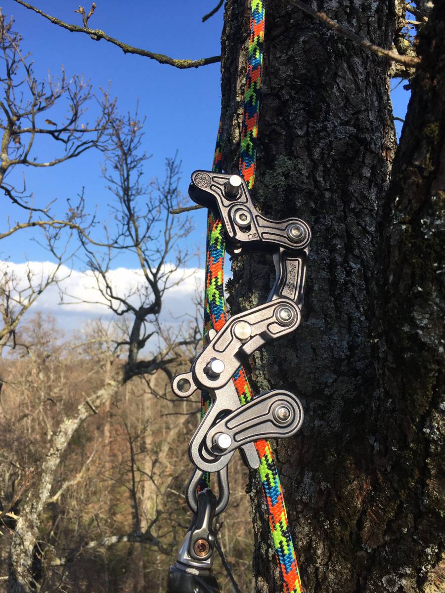 taille d'éclaircie quartier de Lardenne 