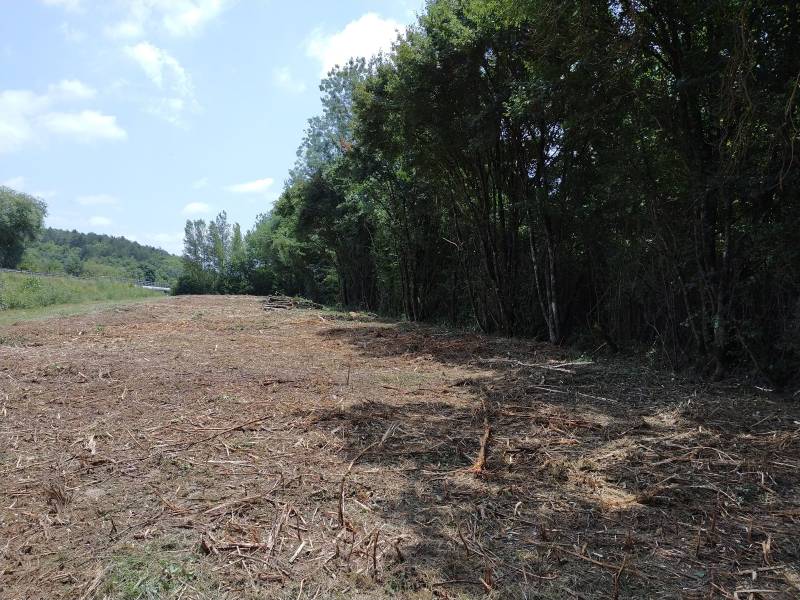 nettoyer une parcelle d'épineux léguevin