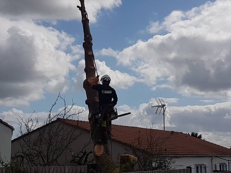 Arbre cassé à cause du vent haute garonne
