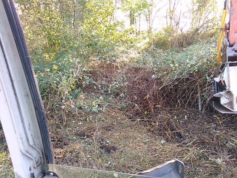 Broyer des souches d'arbres Hautes Garonne