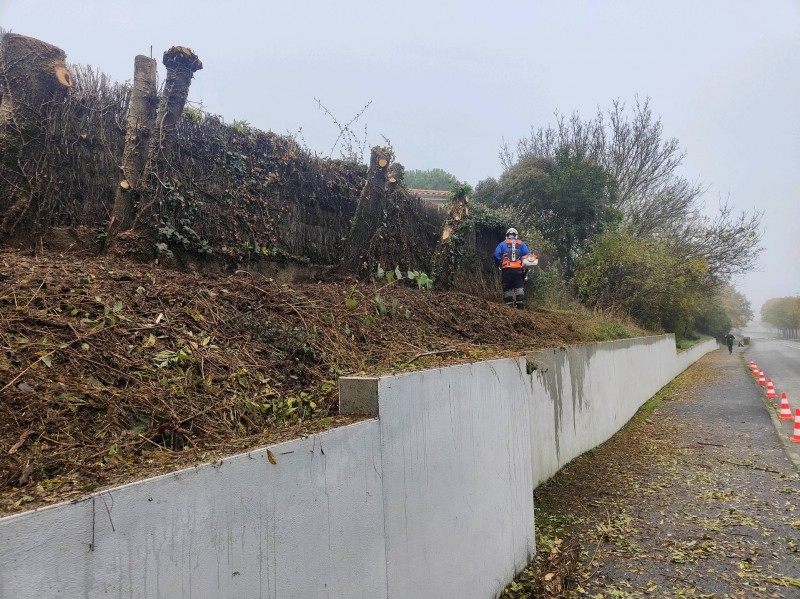 Défrichage de talus à Auzielle 31