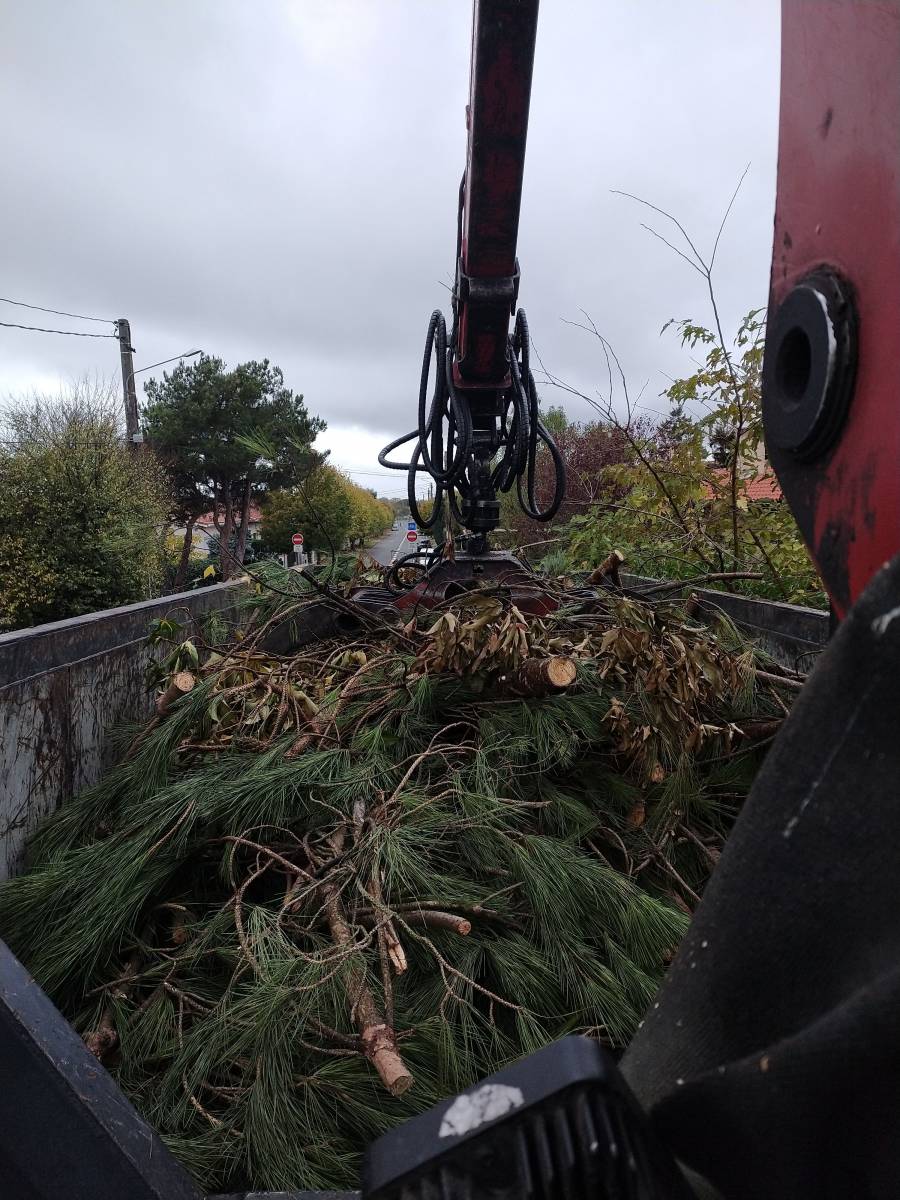 Nos équipements pour l'élagage sur Toulouse Haute Garonne