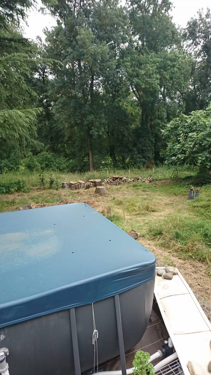 Abattage par démontage d’un cèdre malade et d’un noyer mort au sud du département de la Haute Garonne.