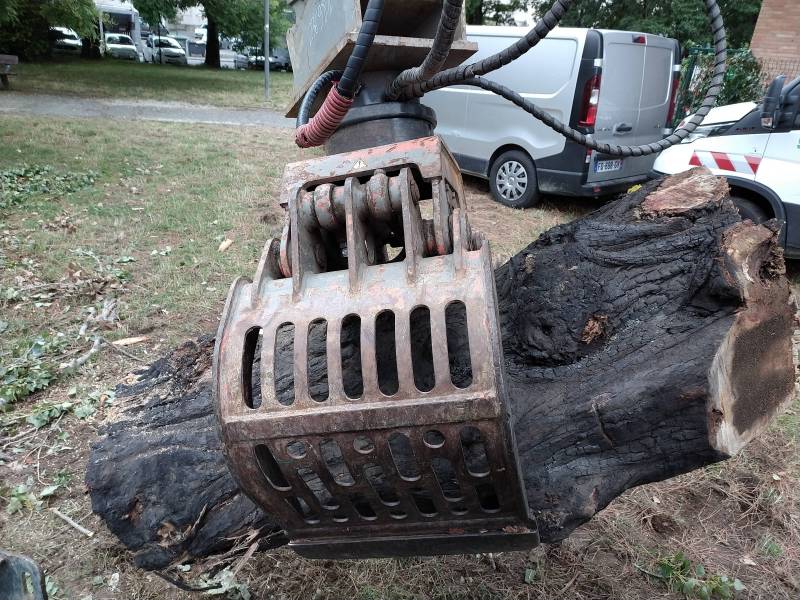 Couper un arbre qui a pris la foudre région toulouse