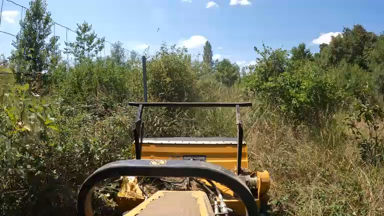 entreprise de débroussaillage proche Toulouse