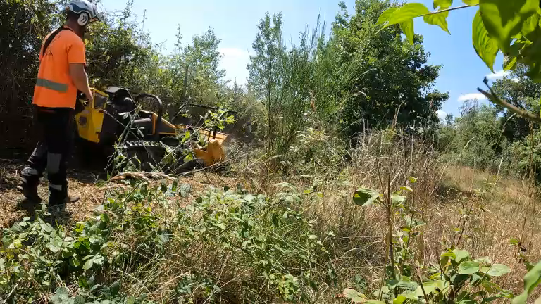 Nos équipements pour les travaux de défrichage en Haute Garonne 31