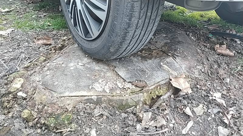 Coupe d’un platane génant dans une concession automobile à Castelnau D’Estrétefonds
