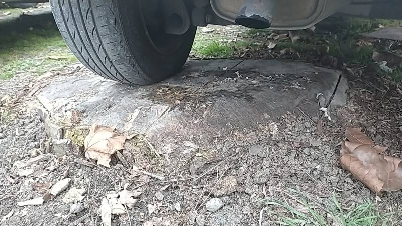 Coupe d’un platane génant dans une concession automobile à Castelnau D’Estrétefonds