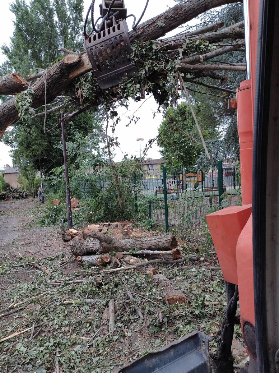 Retirer un arbre abattu haute garonne