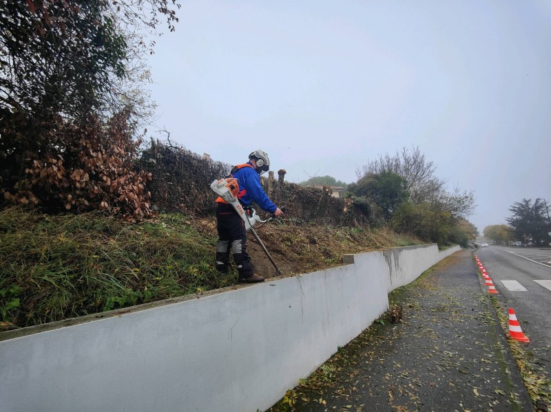 Défrichage de talus à Auzielle 31