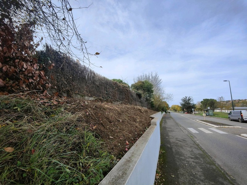 Défrichage de talus à Auzielle 31