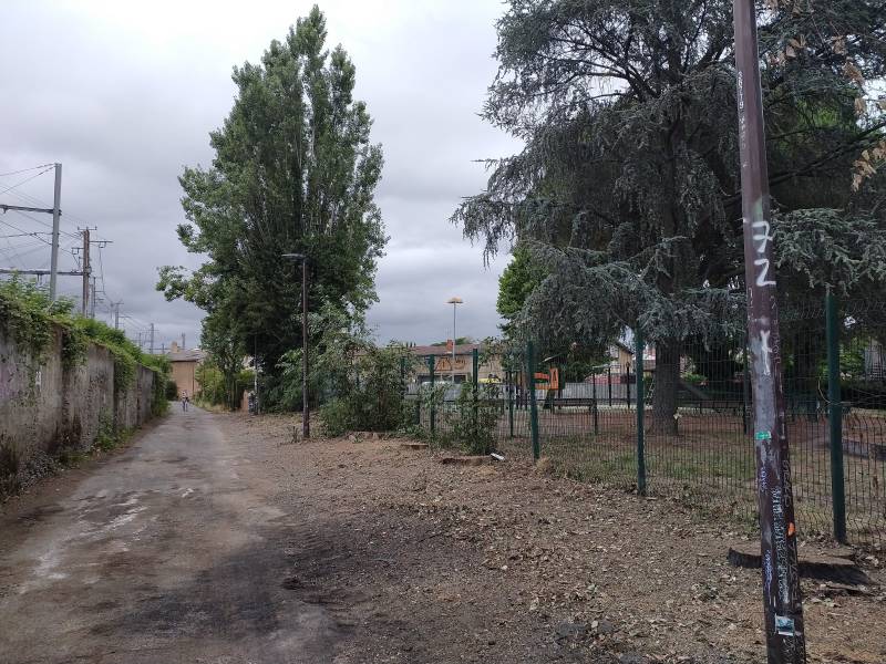 entreprise d'abattage d'arbre en milieu urbain toulouse