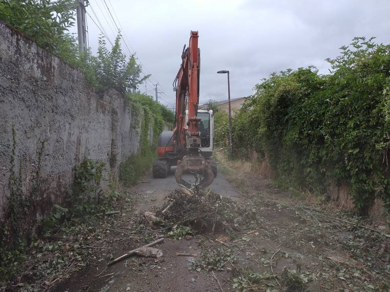 entreprise qui coupe des arbres à toulouse