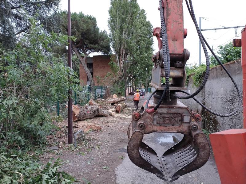 entreprise qui coupe un arbre en ville toulouse