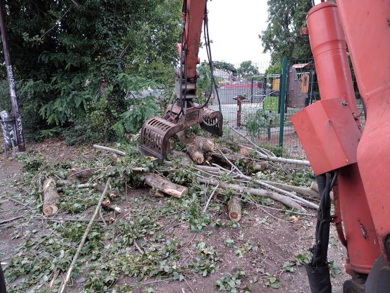 entreprise spécialisée pour enlever un arbre dangereux à toulouse