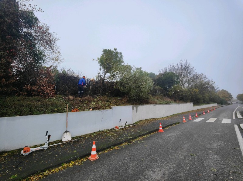 Défrichage de talus à Auzielle 31