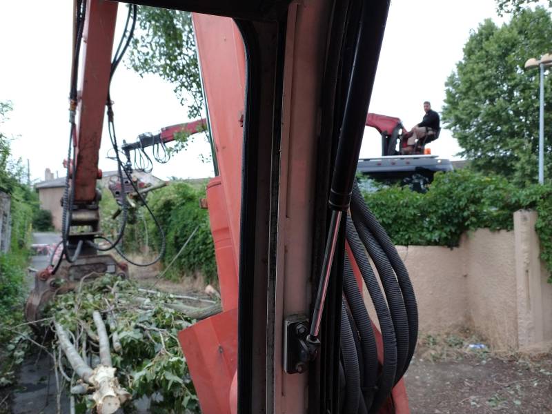 société d'élagage qui grimpe dans les arbres à toulouse 31200